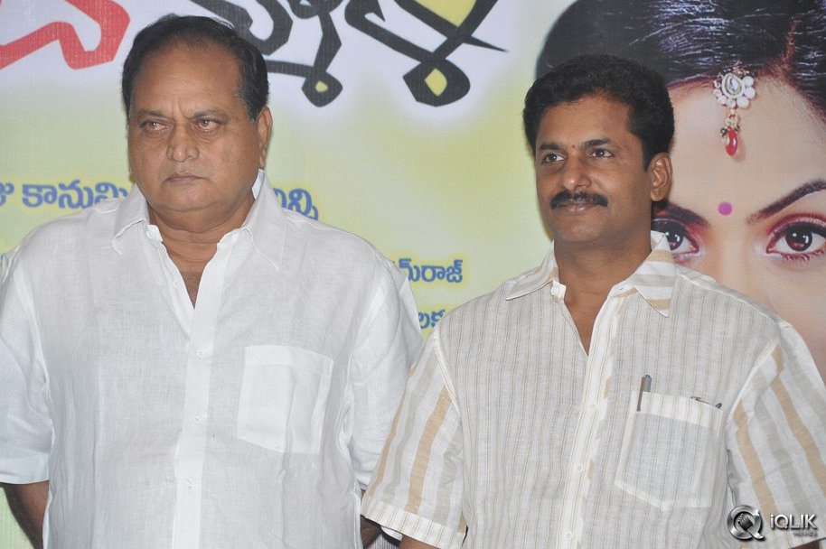Brother-Of-Bommali-Movie-Success-Meet